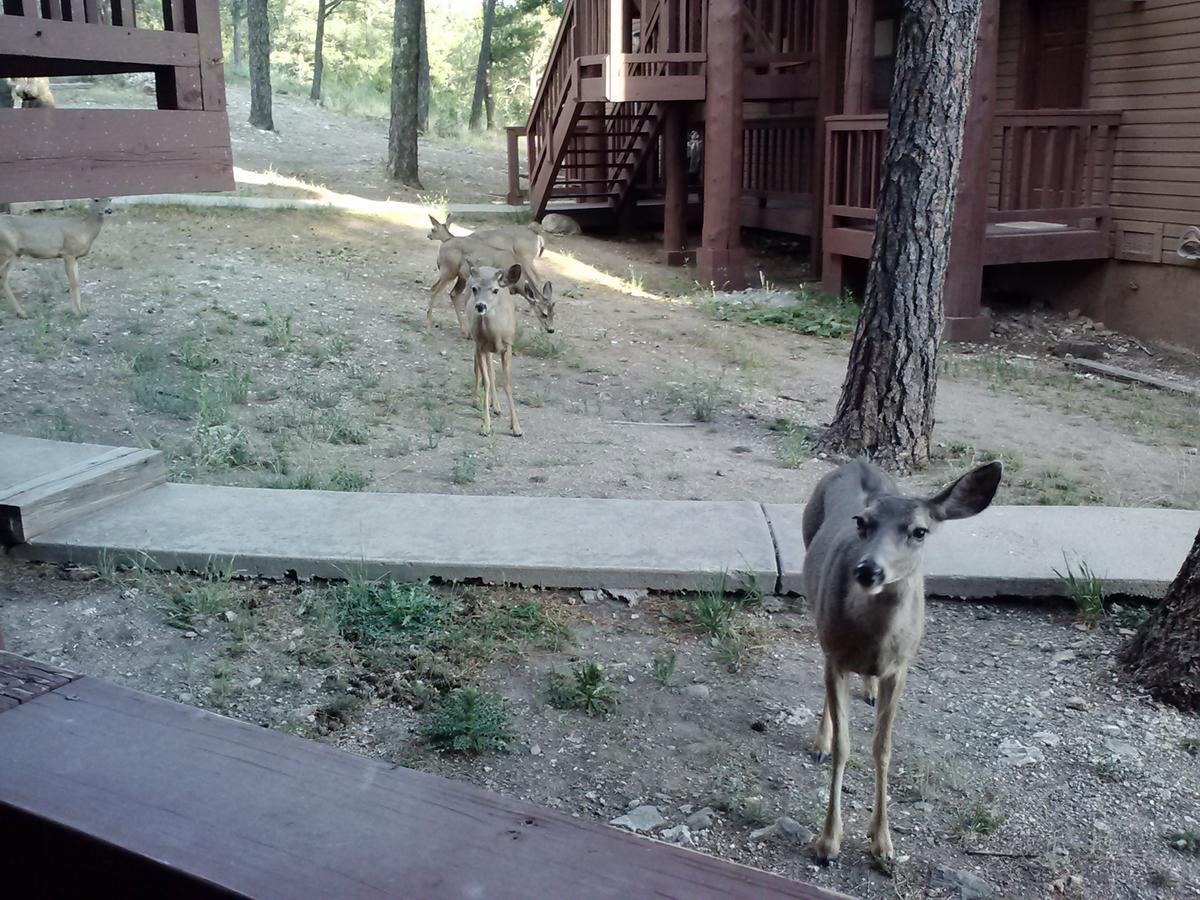 Tiara Del Sol Aparthotel Ruidoso Exterior foto